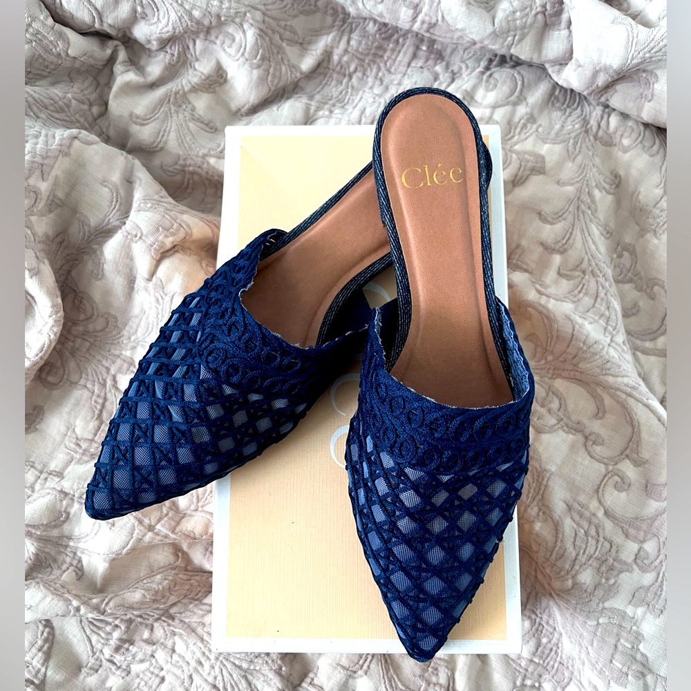 Blue Navy pointe shoes